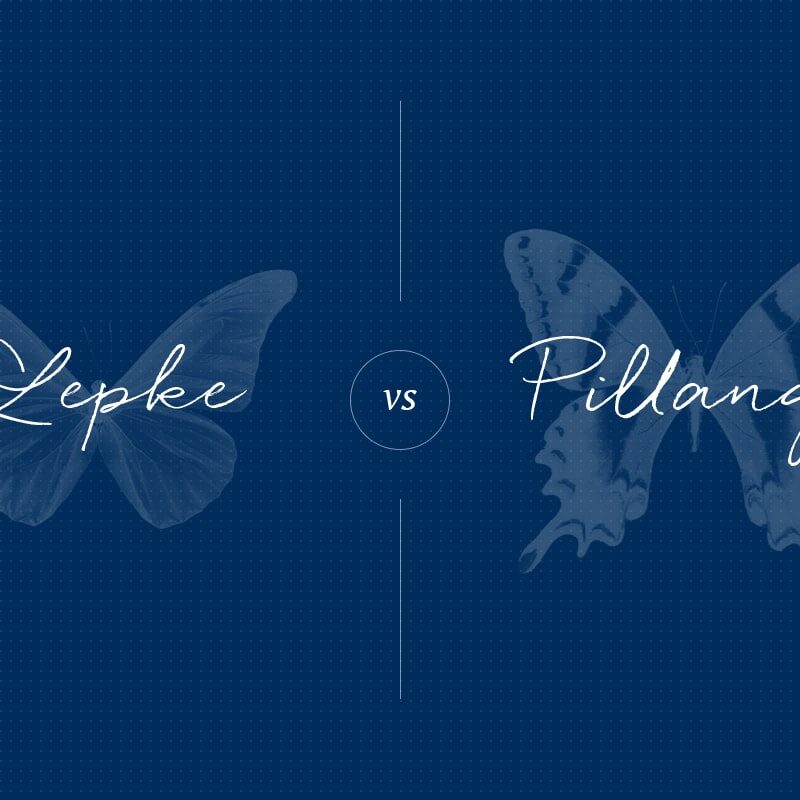 Lepke vagy pillangó?